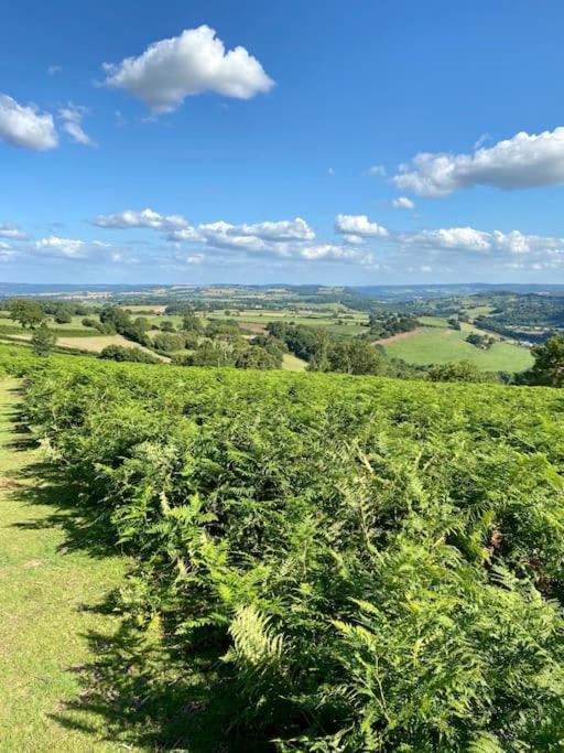The Mill Stylish Rural Apartment With Beautiful Views Welsh Newton Common Exteriör bild
