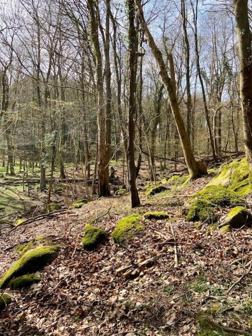 The Mill Stylish Rural Apartment With Beautiful Views Welsh Newton Common Exteriör bild